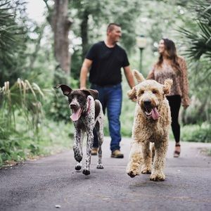 Meet your Posher, Courtney